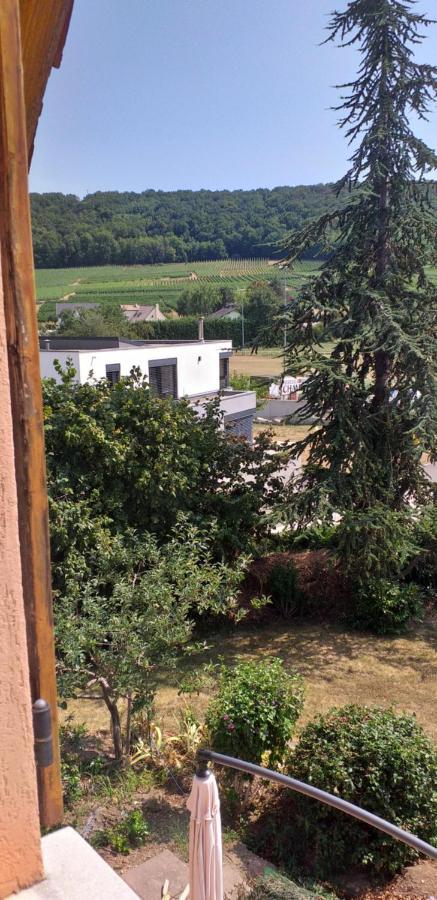Gite Dans Vignoble Alsacien Westhalten Luaran gambar