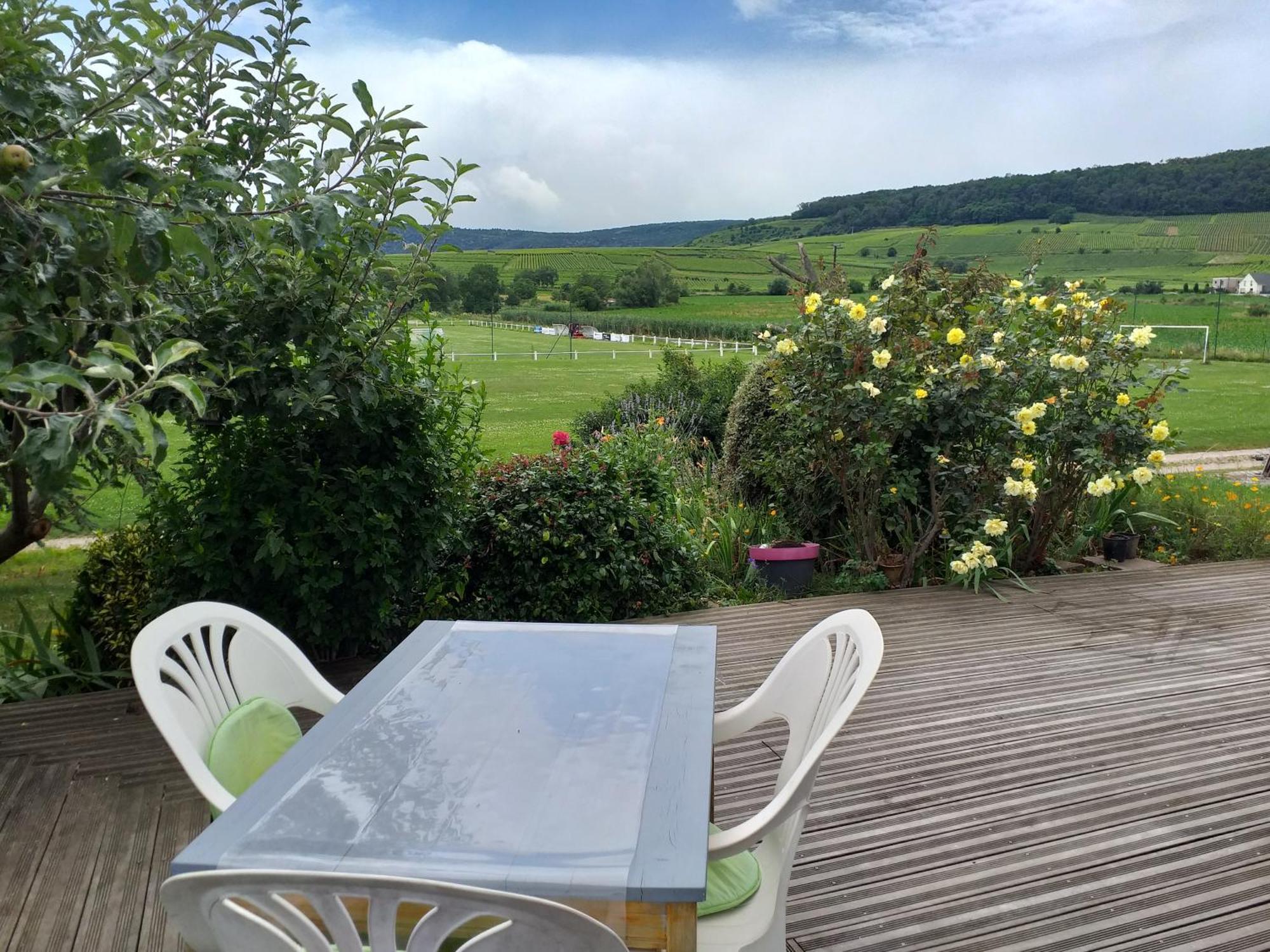Gite Dans Vignoble Alsacien Westhalten Luaran gambar